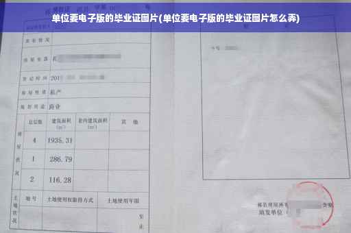 单位要电子版的毕业证图片(单位要电子版的毕业证图片怎么弄)