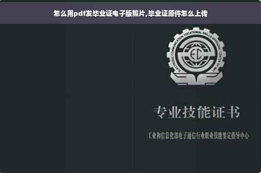怎么用pdf发毕业证电子版照片,毕业证原件怎么上传