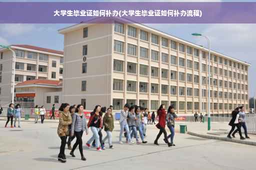 大学生毕业证如何补办(大学生毕业证如何补办流程)