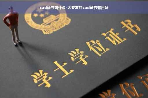 cad证书叫什么-大专发的cad证书有用吗