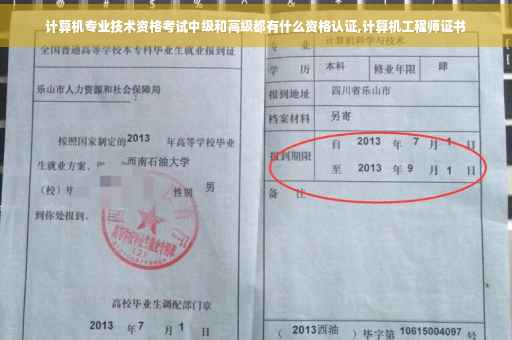计算机专业技术资格考试中级和高级都有什么资格认证,计算机工程师证书