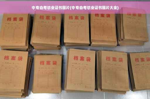 中专自考毕业证书图片(中专自考毕业证书图片大全)