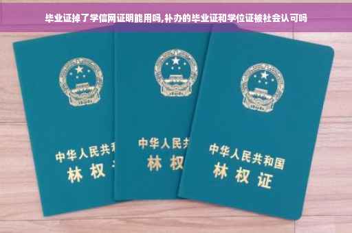 毕业证掉了学信网证明能用吗,补办的毕业证和学位证被社会认可吗