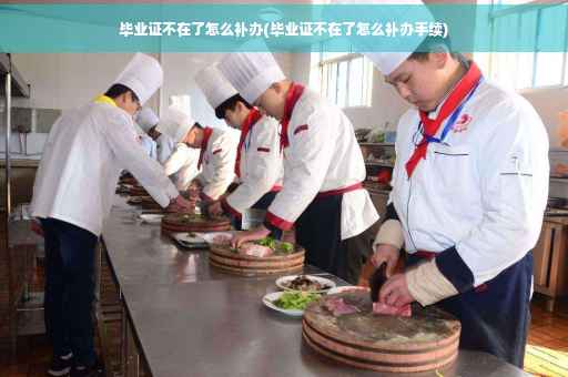 毕业证不在了怎么补办(毕业证不在了怎么补办手续)