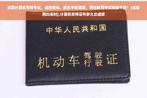全国计算机等级考试，成绩查询，能在学校查到，但在教育考试院查不到！(成绩刚出来时),计算机资格证书多久出成绩