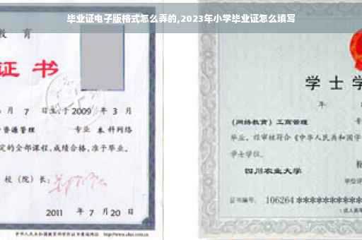 毕业证电子版格式怎么弄的,2023年小学毕业证怎么填写