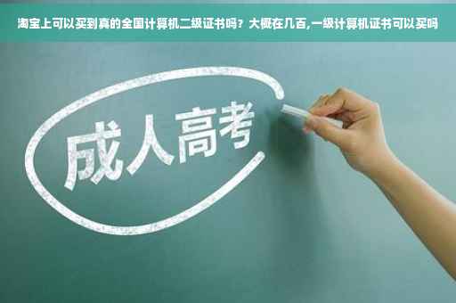 淘宝上可以买到真的全国计算机二级证书吗？大概在几百,一级计算机证书可以买吗