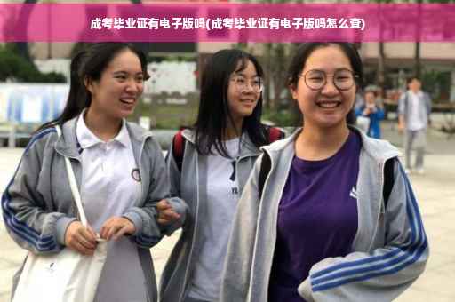 成考毕业证有电子版吗(成考毕业证有电子版吗怎么查)