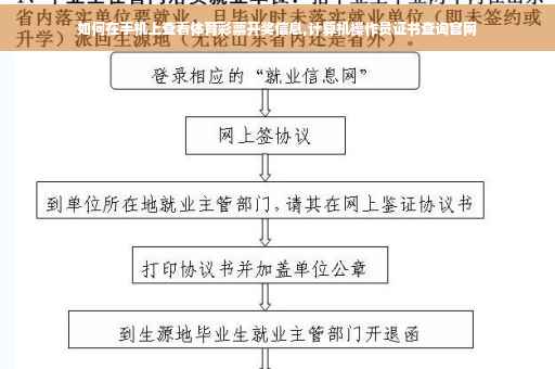 如何在手机上查看体育彩票开奖信息,计算机操作员证书查询官网