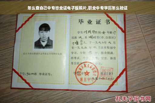 怎么查自己中专毕业证电子版照片,职业中专学历怎么验证