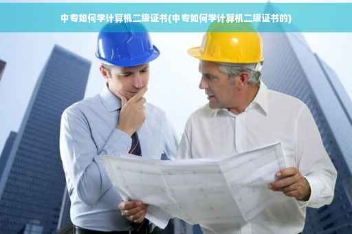 中专如何学计算机二级证书(中专如何学计算机二级证书的)