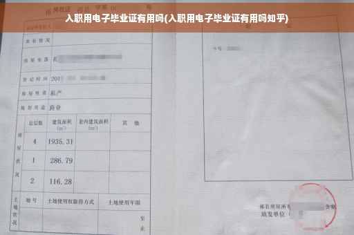 入职用电子毕业证有用吗(入职用电子毕业证有用吗知乎)