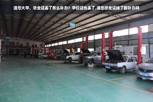 清华大学，毕业证丢了怎么补办？学位证也丢了,清华毕业证掉了能补办吗