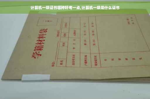 计算机一级证书哪种好考一点,计算机一级是什么证书