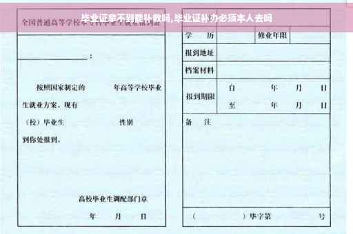 毕业证拿不到能补救吗,毕业证补办必须本人去吗