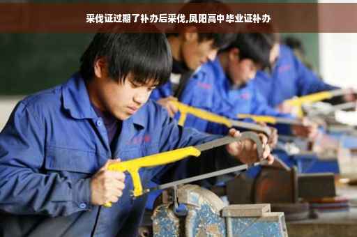 采伐证过期了补办后采伐,凤阳高中毕业证补办