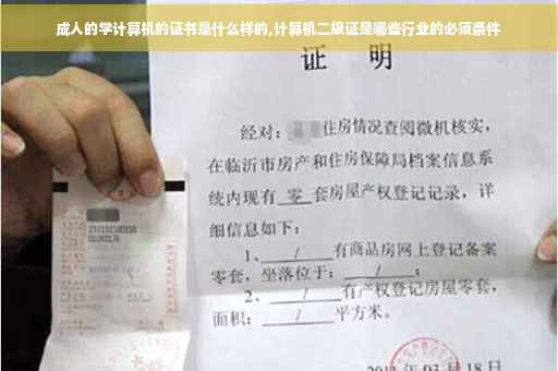 成人的学计算机的证书是什么样的,计算机二级证是哪些行业的必须条件