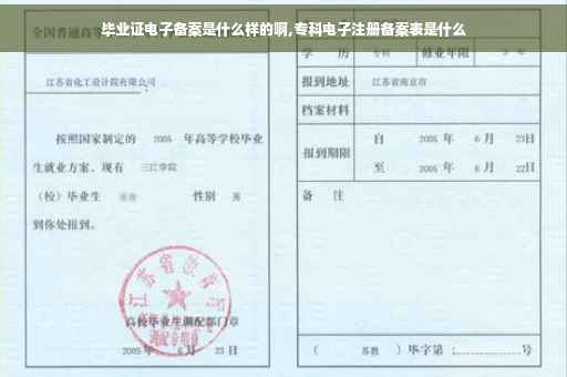 毕业证电子备案是什么样的啊,专科电子注册备案表是什么