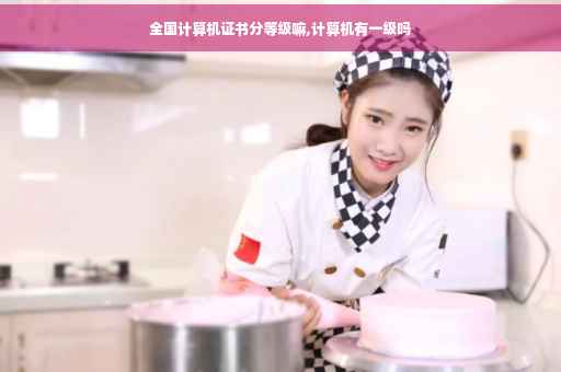 全国计算机证书分等级嘛,计算机有一级吗 全国计算机证书分等级嘛,计算机有一级吗