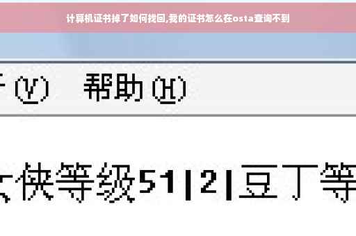 计算机证书掉了如何找回,我的证书怎么在osta查询不到