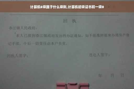计算机B级属于什么级别,计算机初级证书和一级B
