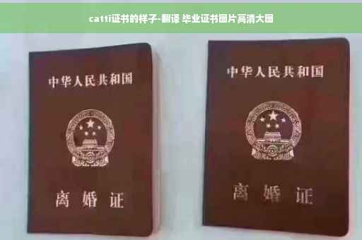 catti证书的样子-翻译 毕业证书图片高清大图