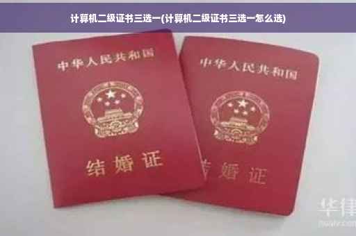 计算机二级证书三选一(计算机二级证书三选一怎么选)