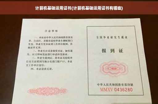 计算机基础运用证书(计算机基础运用证书有哪些)