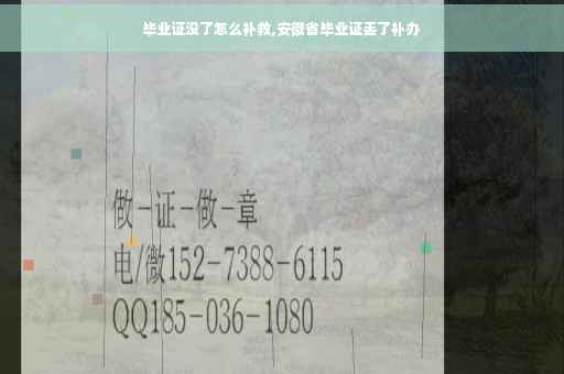 毕业证没了怎么补救,安徽省毕业证丢了补办