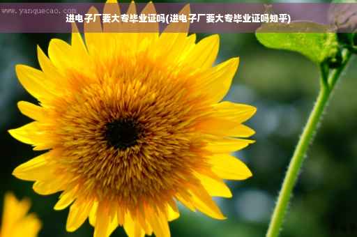 进电子厂要大专毕业证吗(进电子厂要大专毕业证吗知乎)