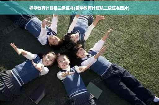 标学教育计算机二级证书(标学教育计算机二级证书图片)