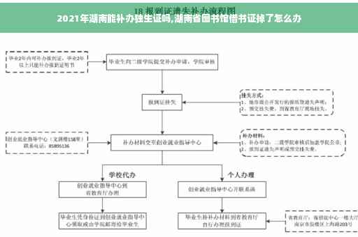 2021年湖南能补办独生证吗,湖南省图书馆借书证掉了怎么办