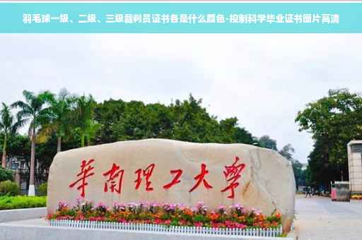 羽毛球一级、二级、三级裁判员证书各是什么颜色-控制科学毕业证书图片高清