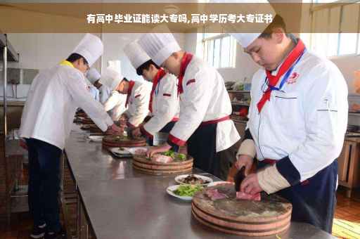 有高中毕业证能读大专吗,高中学历考大专证书