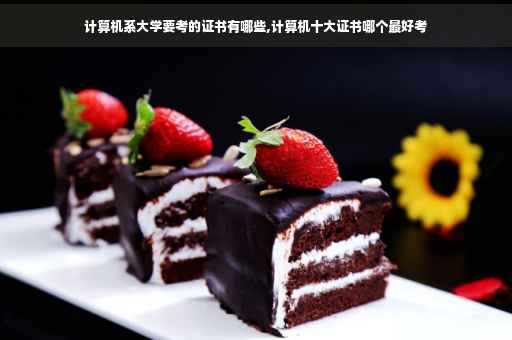 计算机系大学要考的证书有哪些,计算机十大证书哪个最好考