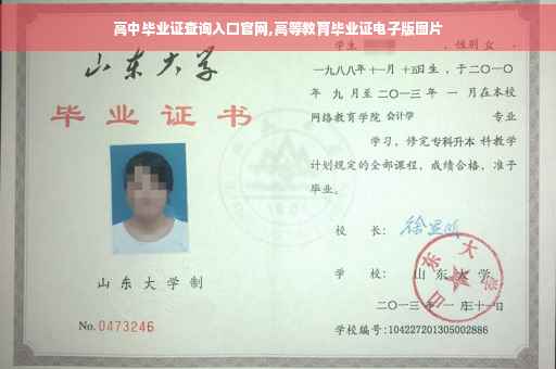 高中毕业证查询入口官网,高等教育毕业证电子版图片
