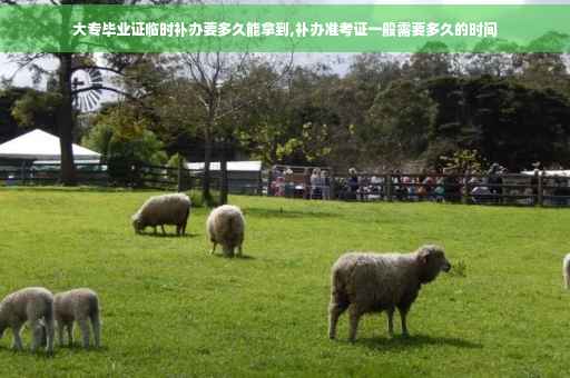 大专毕业证临时补办要多久能拿到,补办准考证一般需要多久的时间