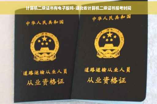 计算机二级证书有电子版吗-湖北省计算机二级证书报考时间