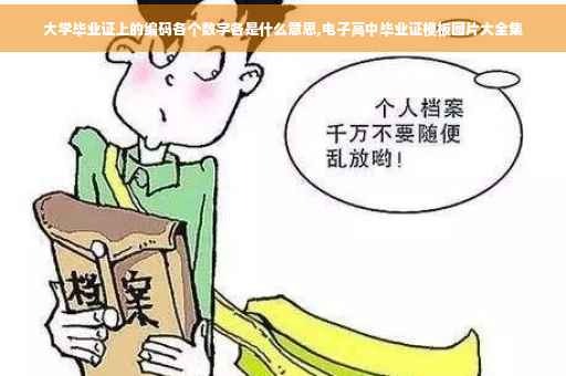 大学毕业证上的编码各个数字各是什么意思,电子高中毕业证模板图片大全集