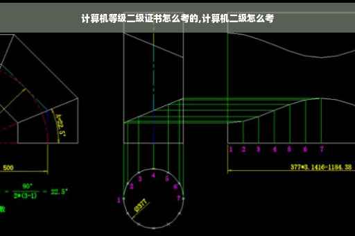 计算机等级二级证书怎么考的,计算机二级怎么考