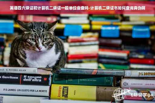 英语四六级证和计算机二级证一般单位会查吗-计算机二级证书如何查询真伪啊