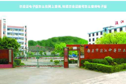 毕业证电子版怎么在网上查询,知道毕业证编号怎么查询电子版