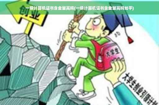一级计算机证书含金量高吗(一级计算机证书含金量高吗知乎)
