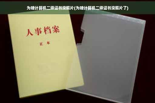 为啥计算机二级证书没照片(为啥计算机二级证书没照片了)