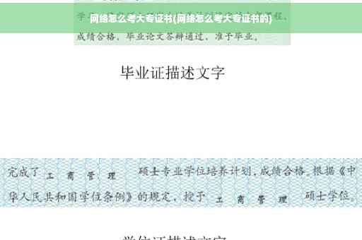 网络怎么考大专证书(网络怎么考大专证书的)