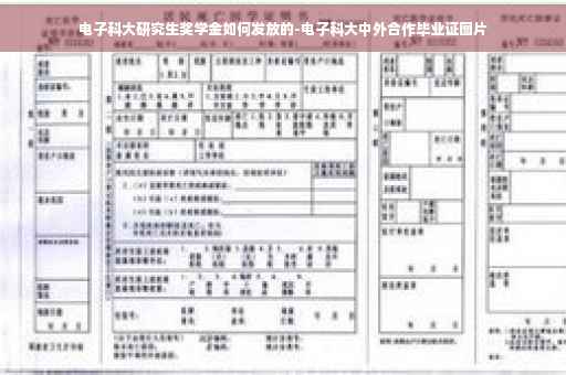 电子科大研究生奖学金如何发放的-电子科大中外合作毕业证图片