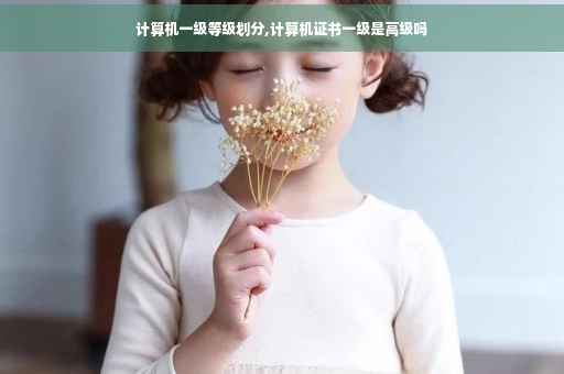 计算机一级等级划分,计算机证书一级是高级吗