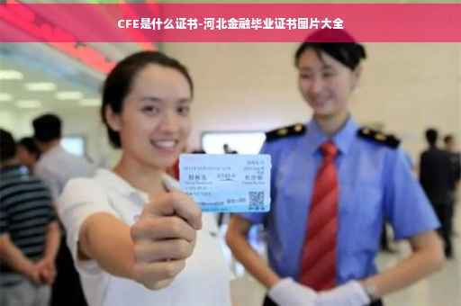 CFE是什么证书-河北金融毕业证书图片大全