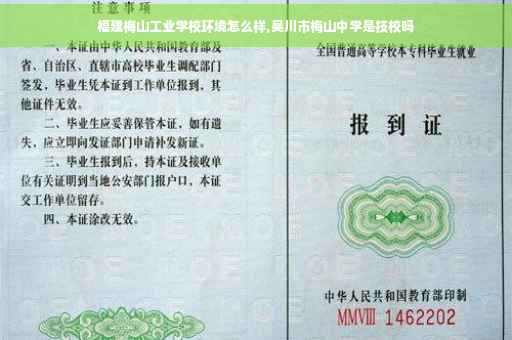 福建梅山工业学校环境怎么样,吴川市梅山中学是技校吗