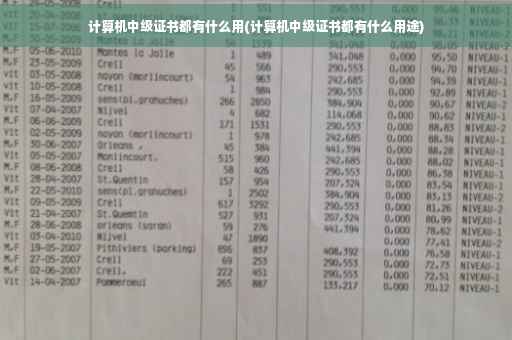 计算机中级证书都有什么用(计算机中级证书都有什么用途)